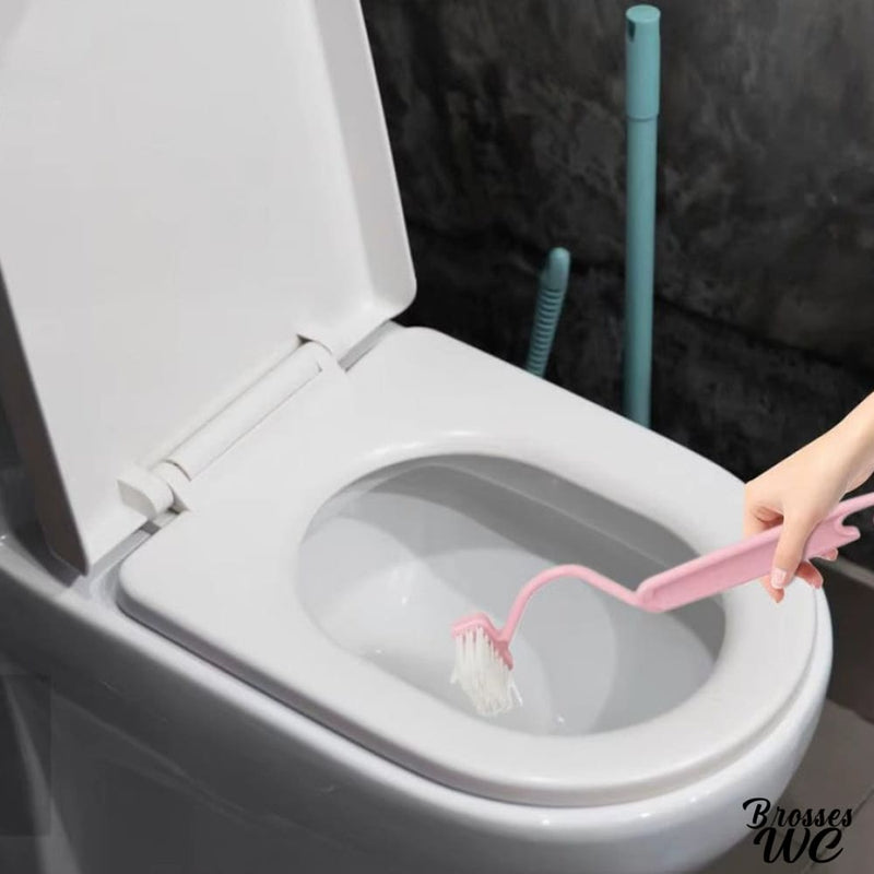 Brosse incurvée pour wc
