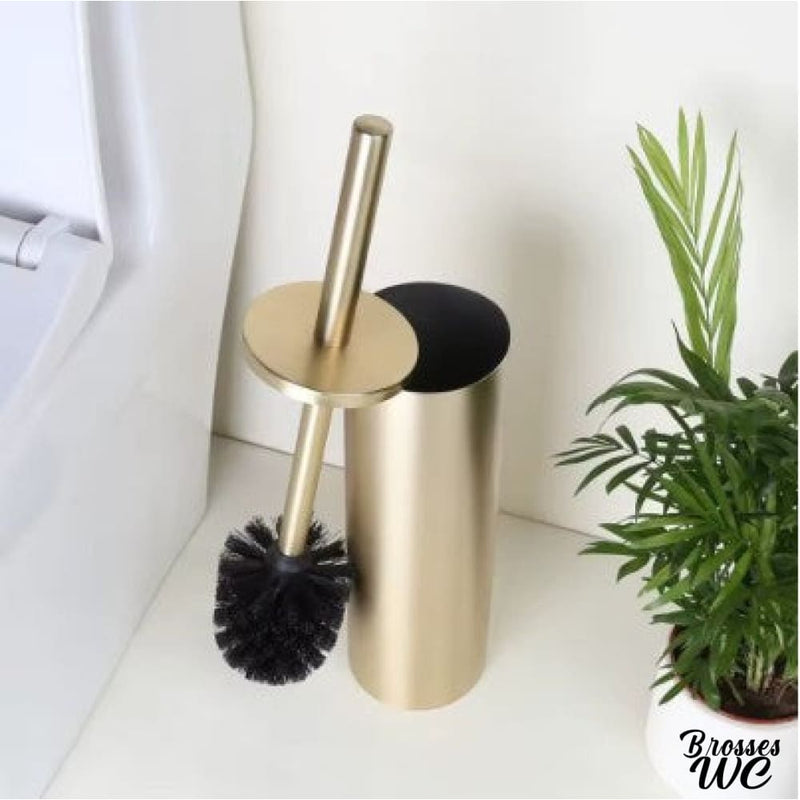 Brosse toilette or