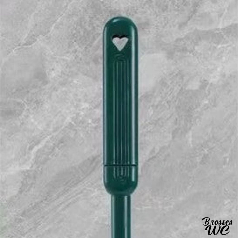 Brosse wc de couleur