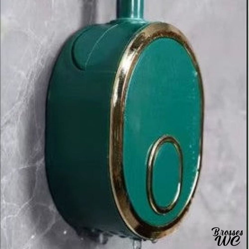 Brosse wc de couleur