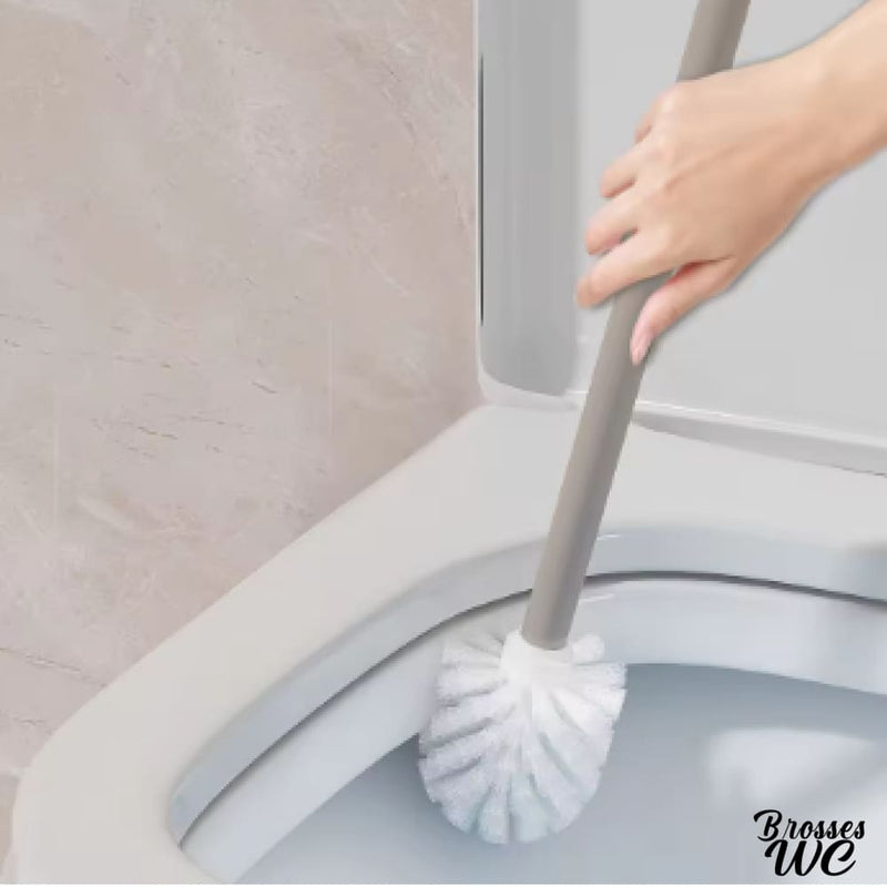 Brosse wc fixation murale