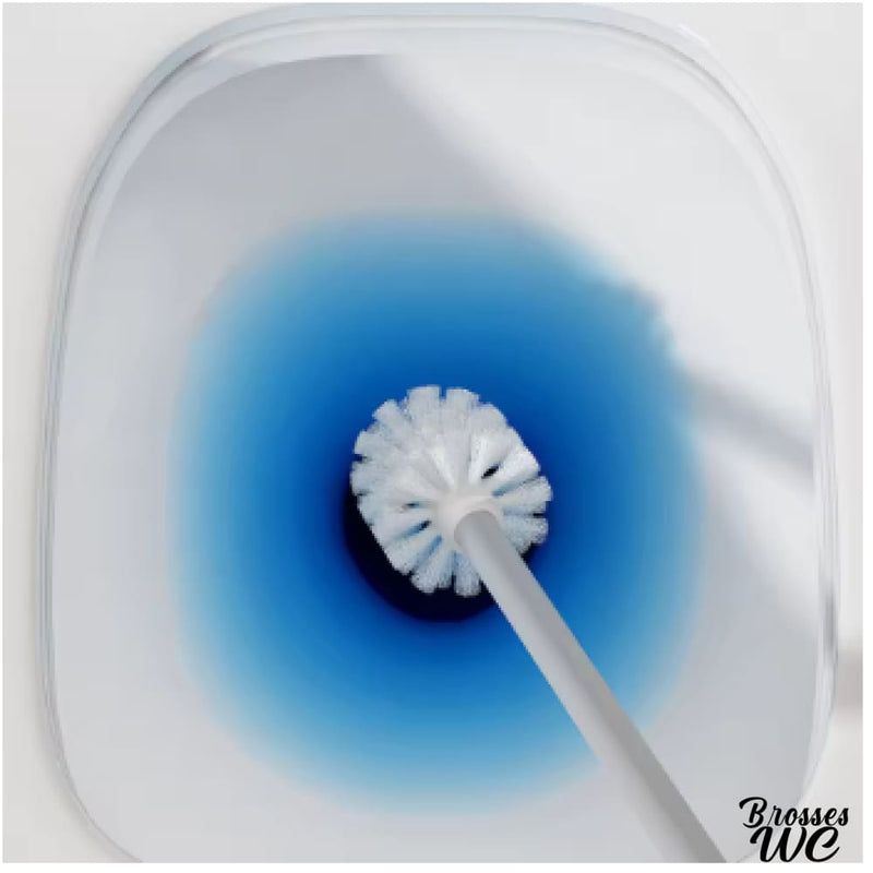 Brosse wc fixation murale