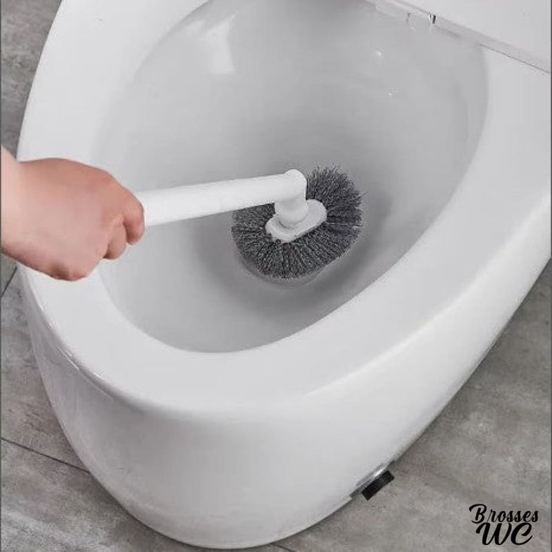 Brosse wc fixation murale