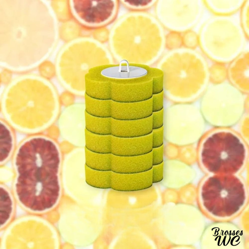 Brosse wc jetable blanche