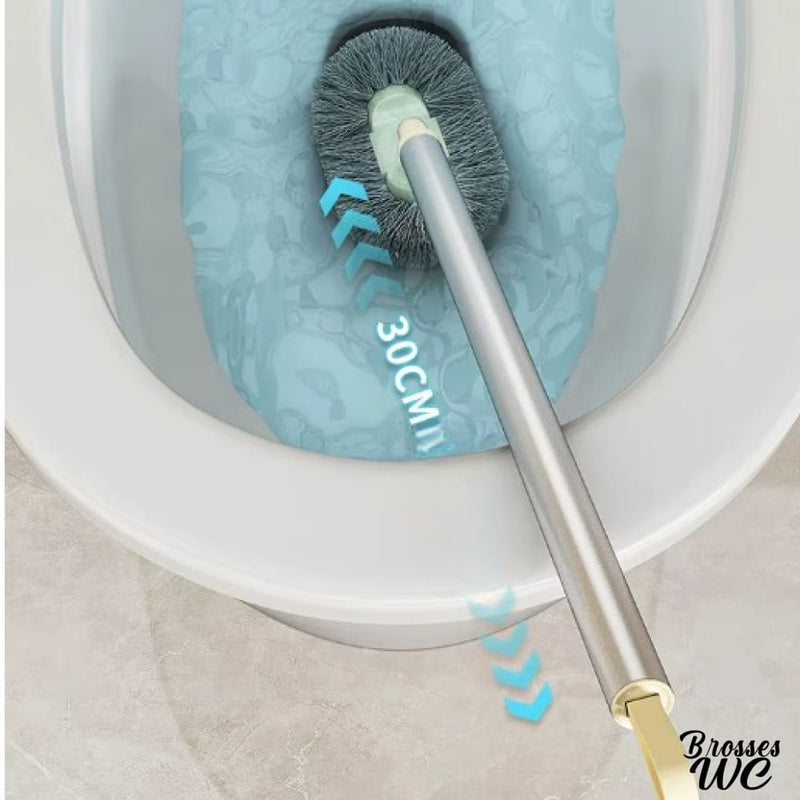 Brosse wc murale basculante