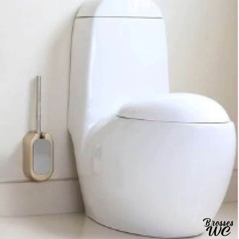 Jolie brosse wc murale discrète
