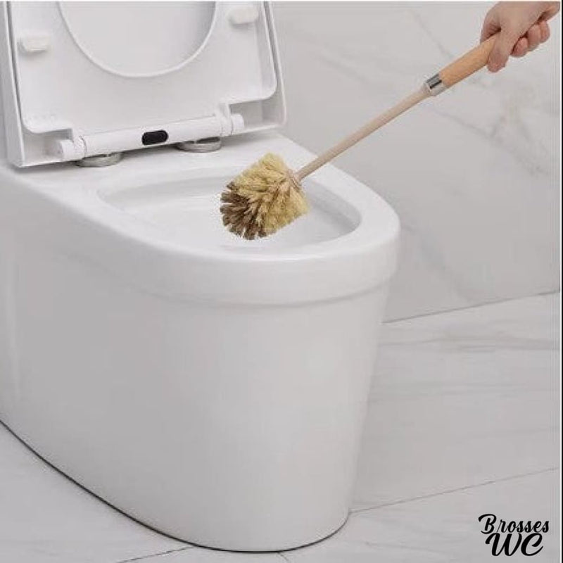 Pot et brosse wc