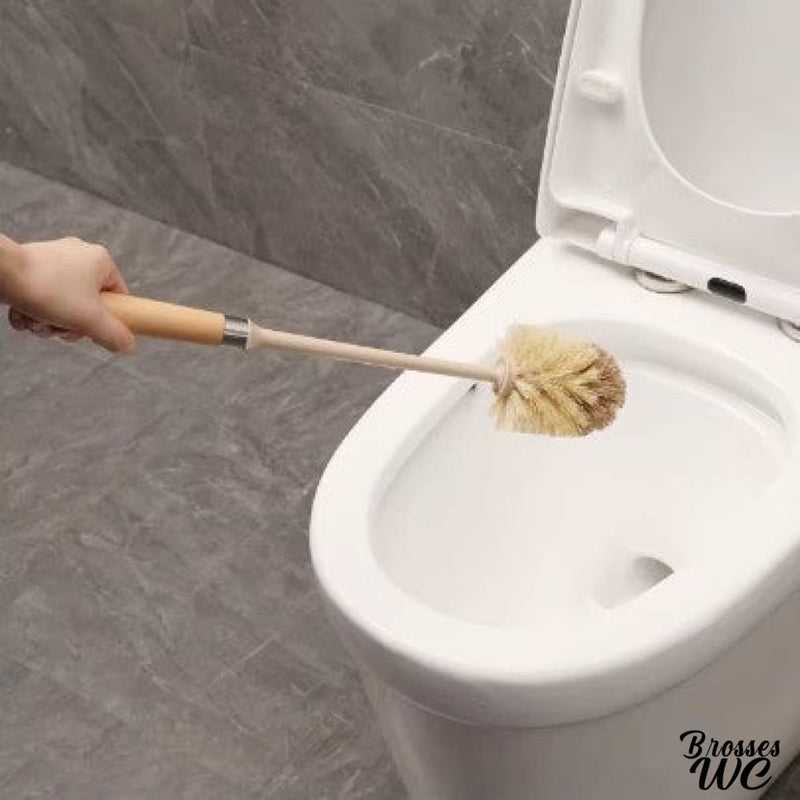 Pot et brosse wc