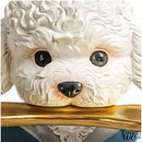 Support mural papier toilette original